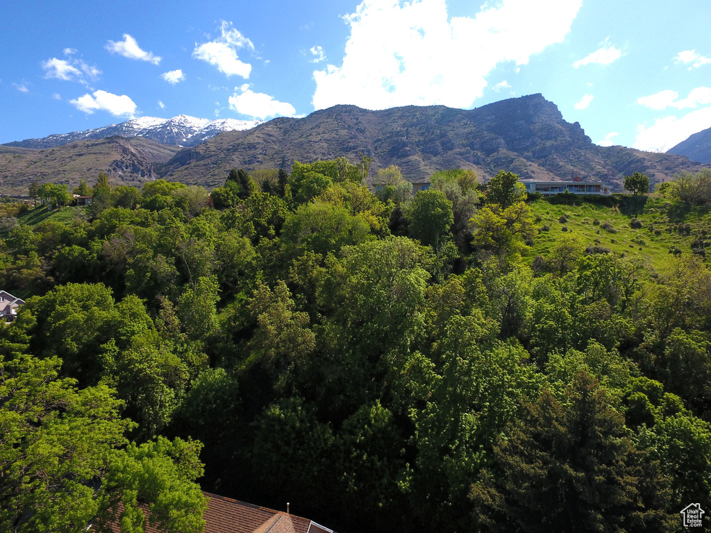 Mountain view featuring a forest view