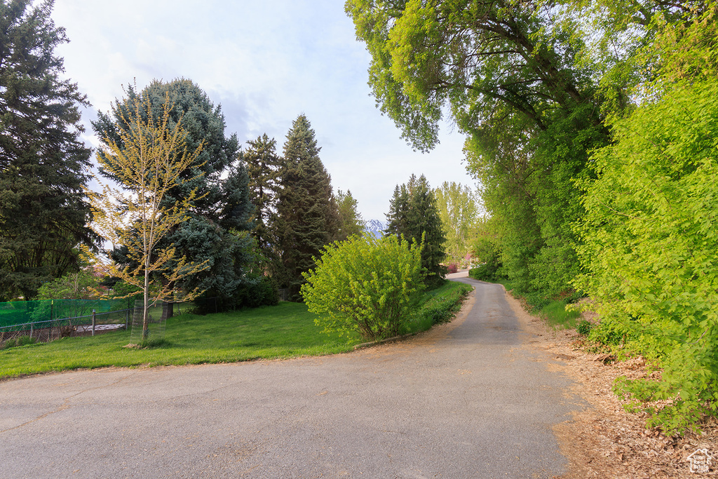View of street
