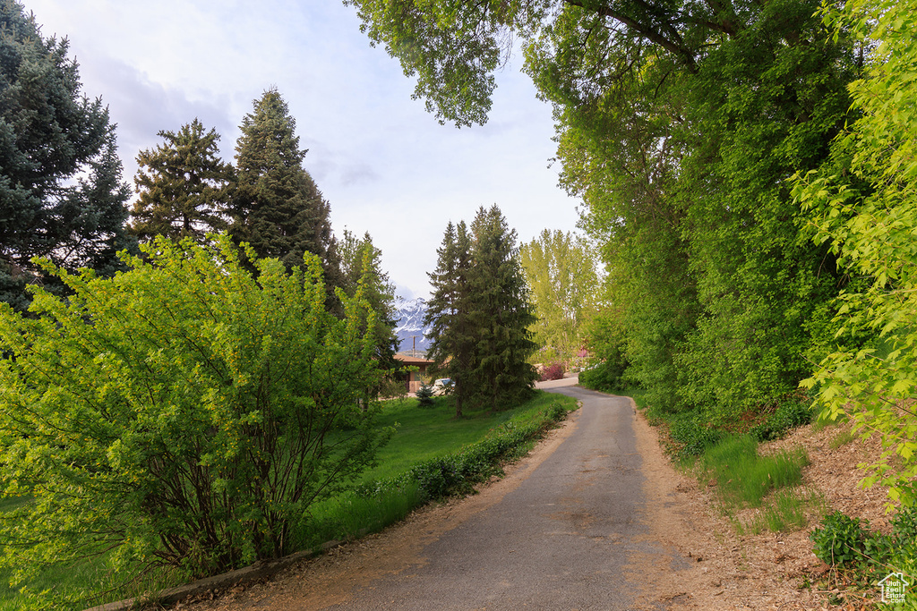 View of street