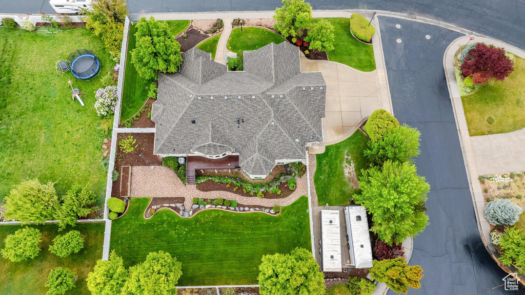 Bird\'s eye view