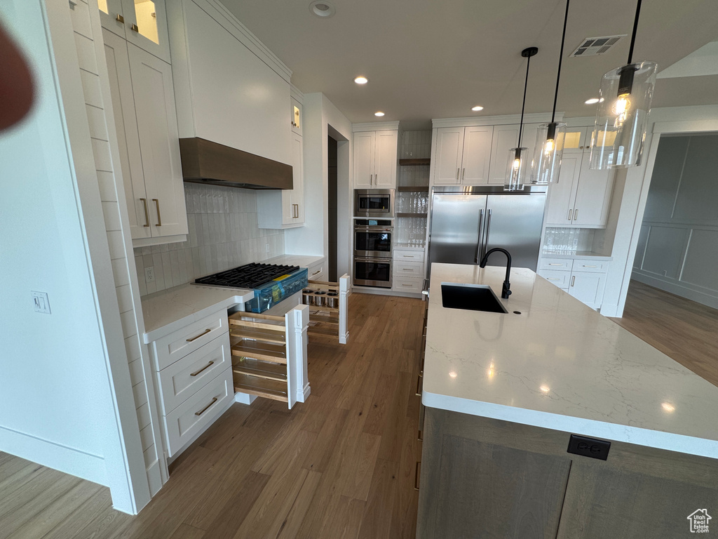 Kitchen featuring exhaust hood, dark wood-style flooring, a sink, built in appliances, and visible vents
