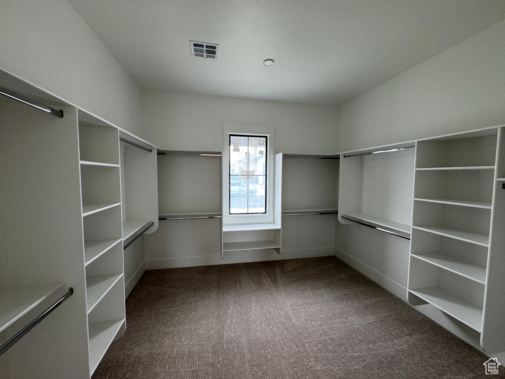 Spacious closet featuring visible vents and carpet
