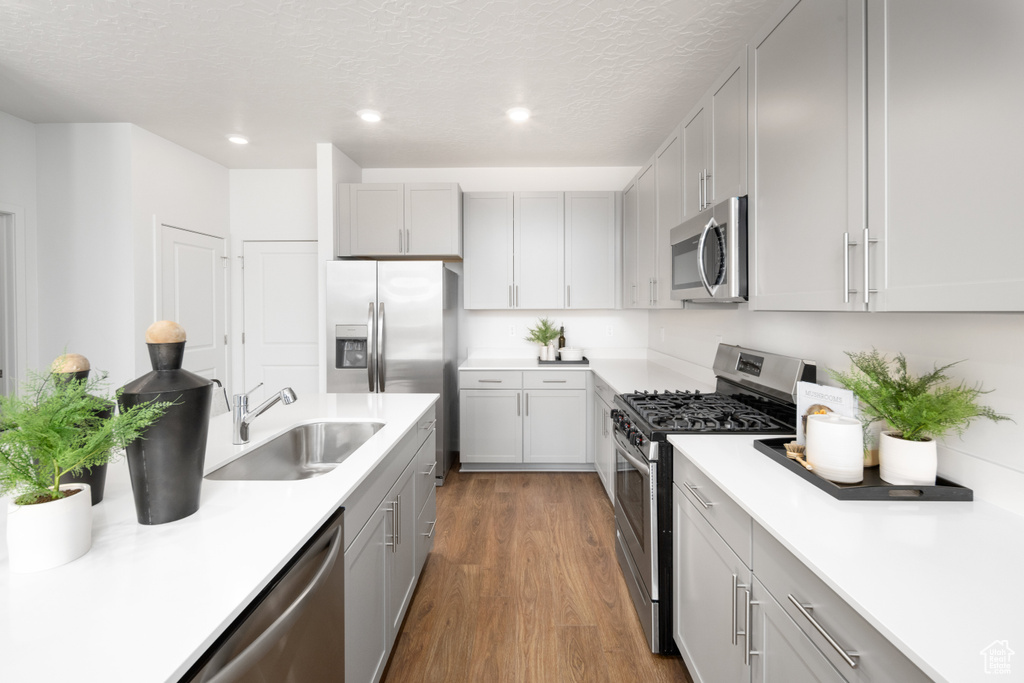 Kitchen with dark wood-type flooring, light countertops, gray cabinets, a sink, and appliances with stainless steel finishes