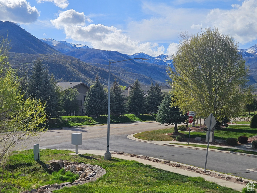 Mountain view