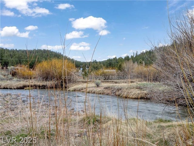 Water view featuring a forest view