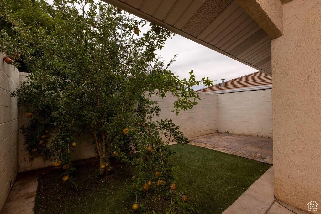 View of yard featuring a patio and a fenced backyard
