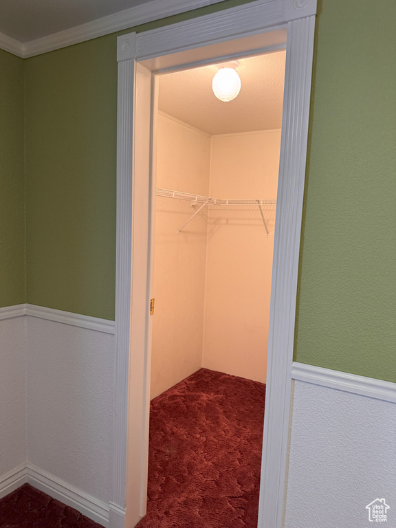 Spacious closet with carpet floors