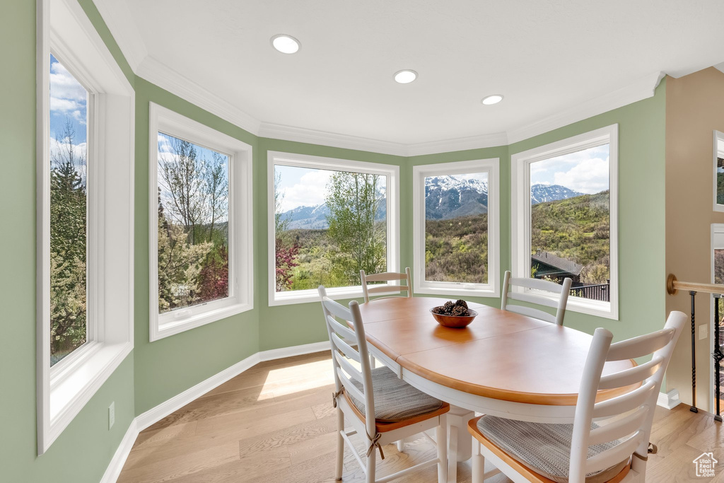 Sunroom with baseboards, a mountain view, wood finished floors, and a wealth of natural light