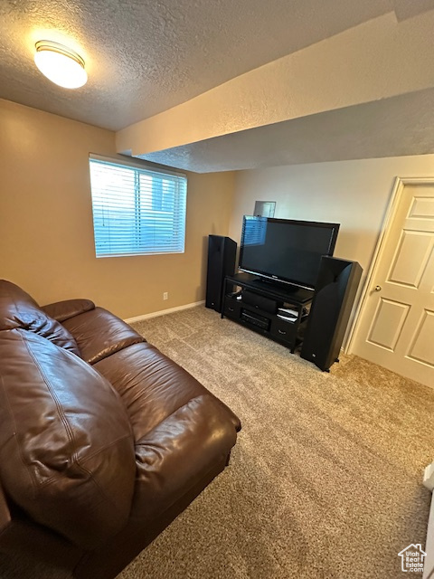 Carpeted living area with baseboards and a textured ceiling