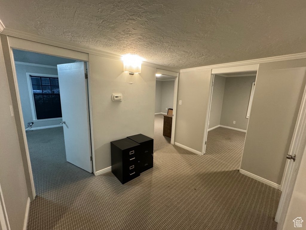 Hall with baseboards, carpet flooring, and ornamental molding