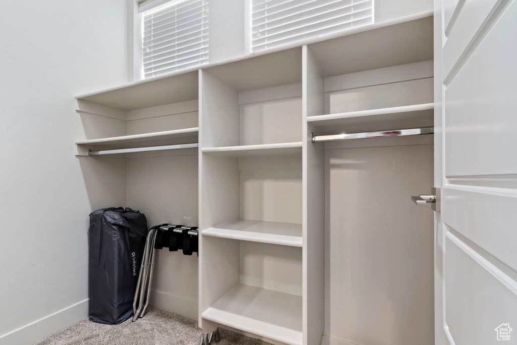Walk in closet featuring carpet flooring