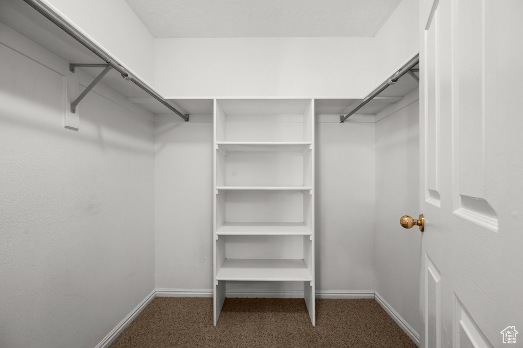 Walk in closet featuring carpet