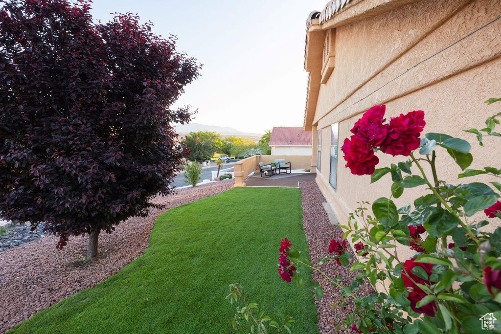 View of yard featuring a patio area
