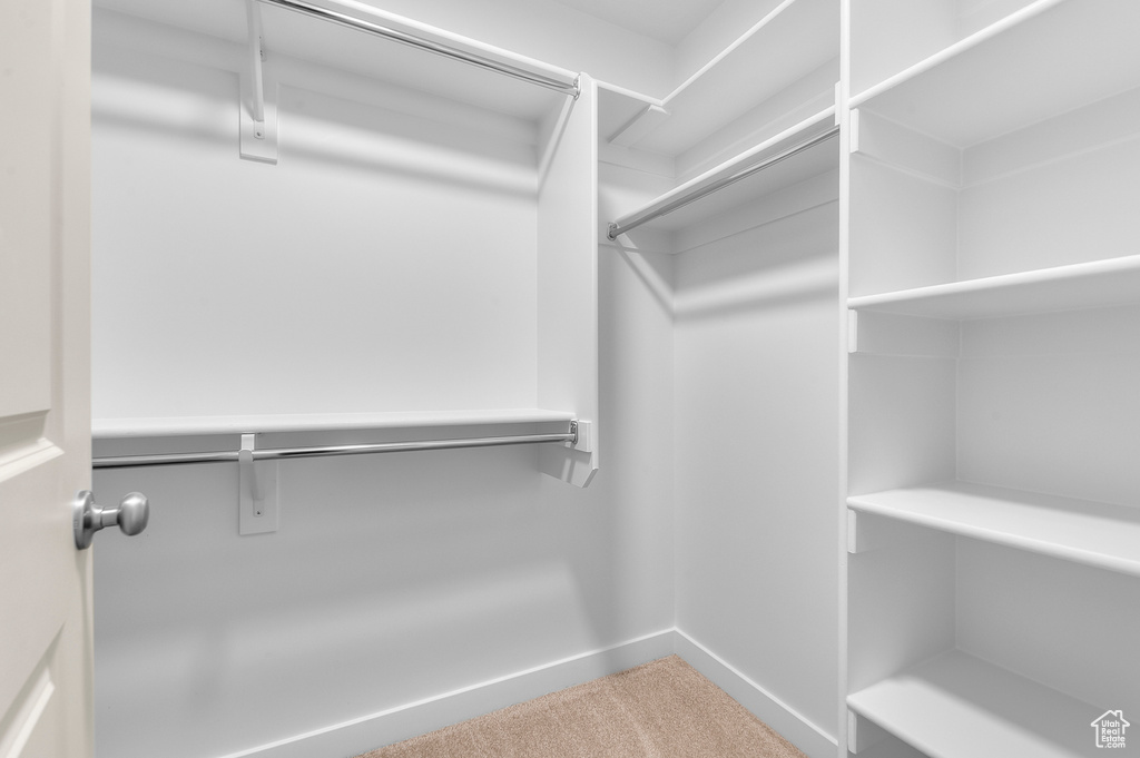 Walk in closet with carpet floors