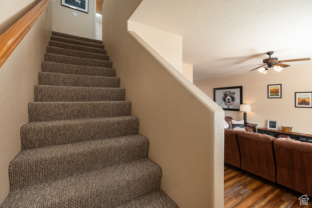 Staircase featuring wood finished floors and a ceiling fan