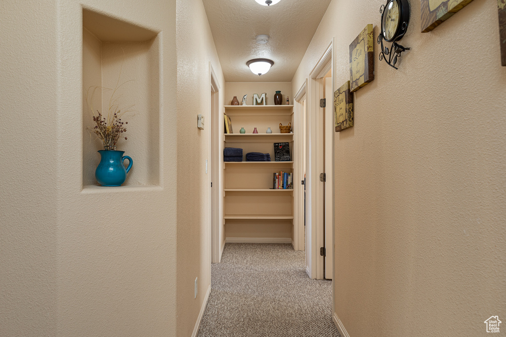 Hallway featuring carpet flooring, a textured wall, a textured ceiling, and baseboards