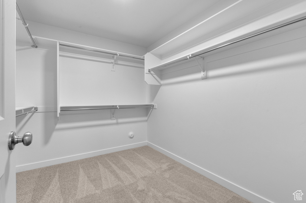 Walk in closet featuring carpet floors