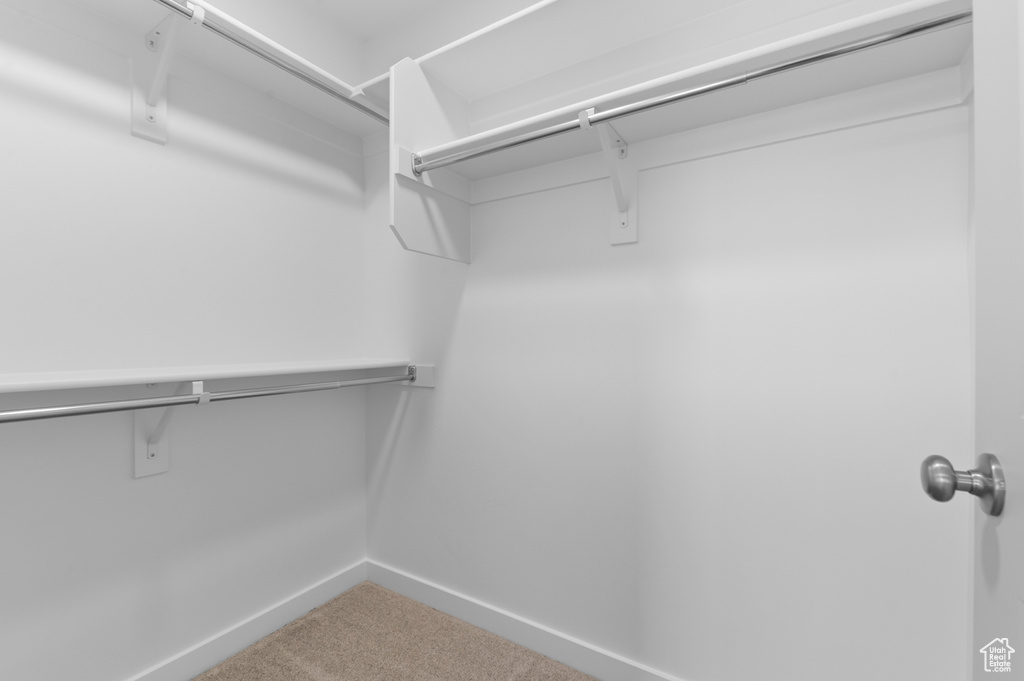 Spacious closet featuring carpet