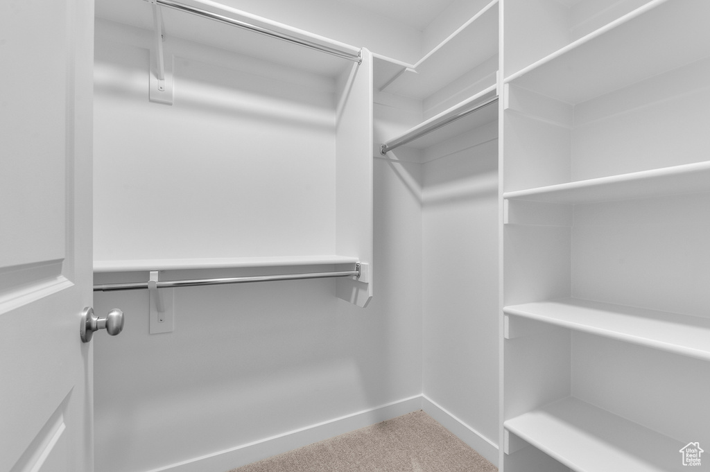 Walk in closet with carpet