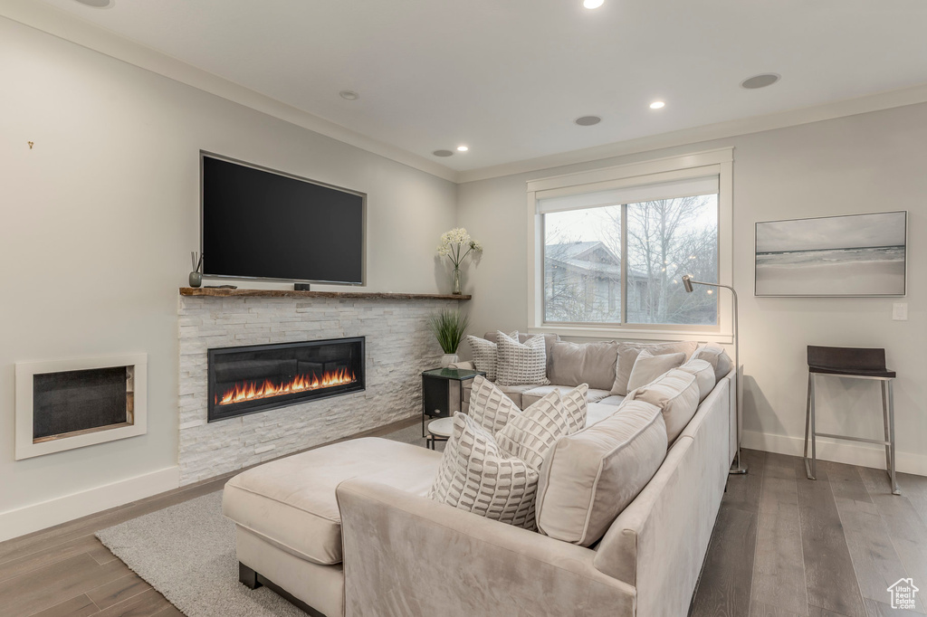 Living area with crown molding, baseboards, a fireplace, and wood finished floors