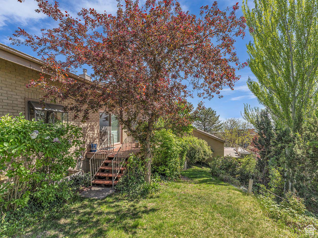 View of yard with a deck and stairs