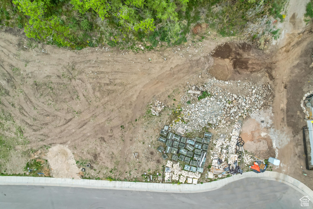 Bird\'s eye view
