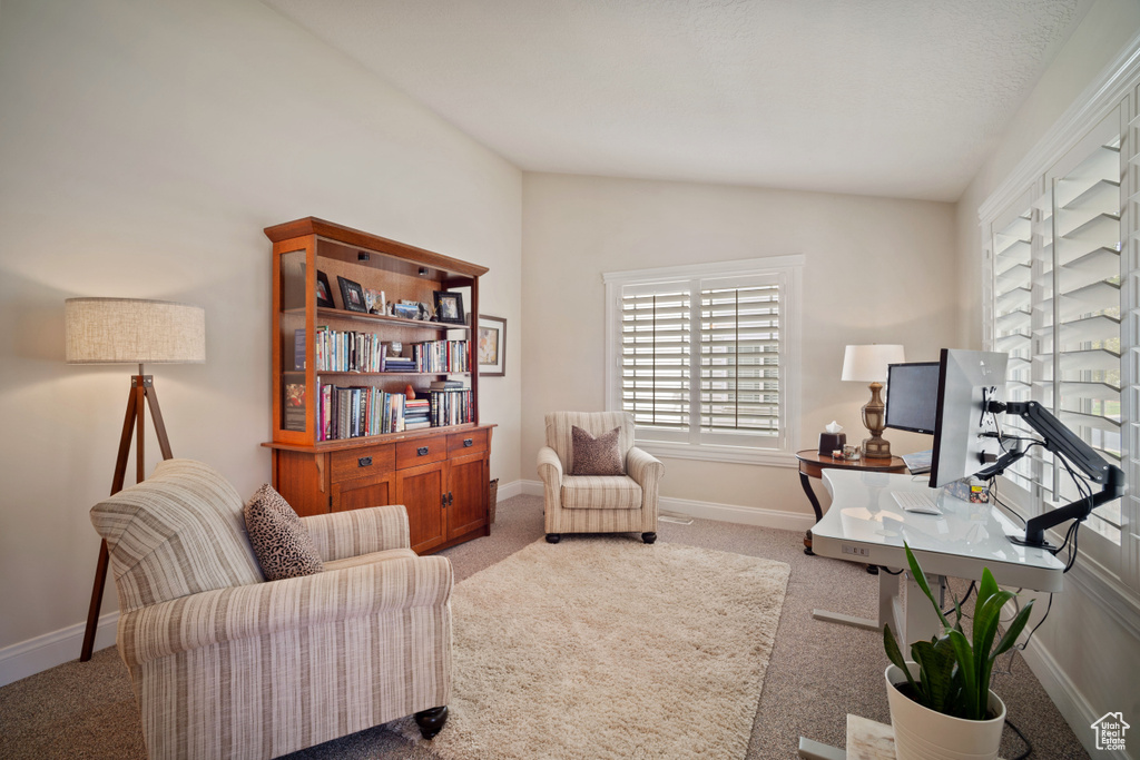 Carpeted office space with lofted ceiling and baseboards