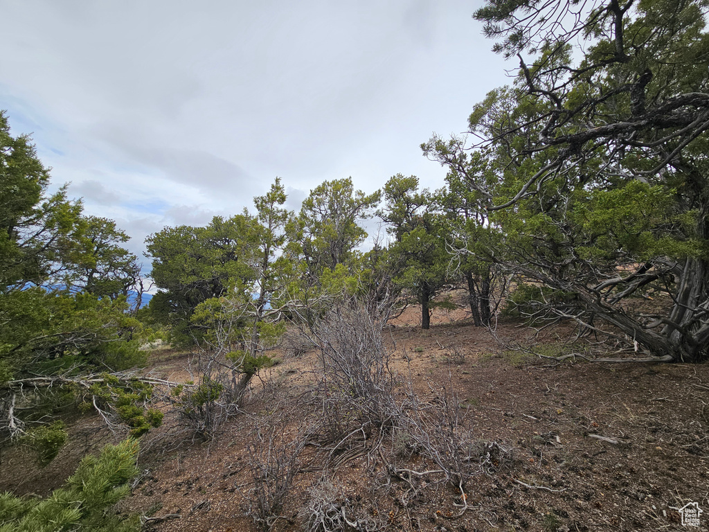 View of nature