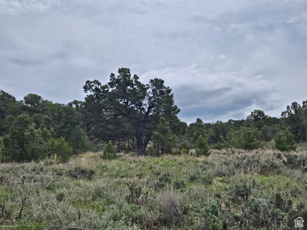 View of nature with a forest view