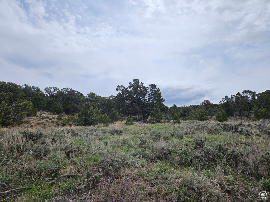 View of landscape with a view of trees