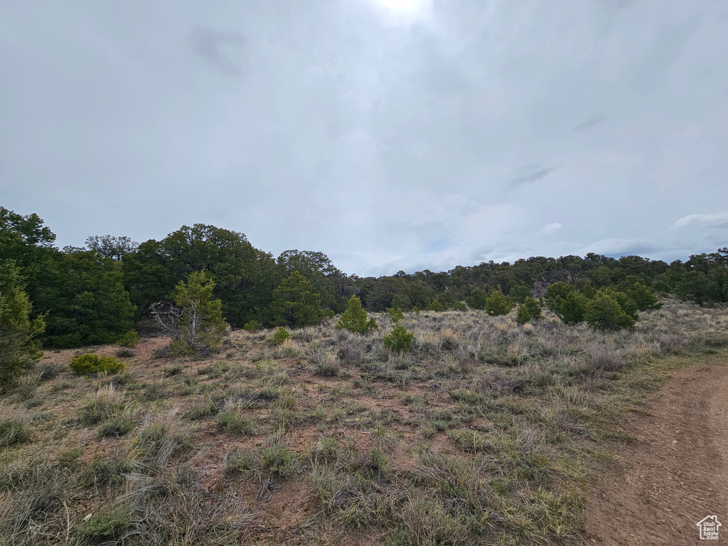 View of landscape with a view of trees