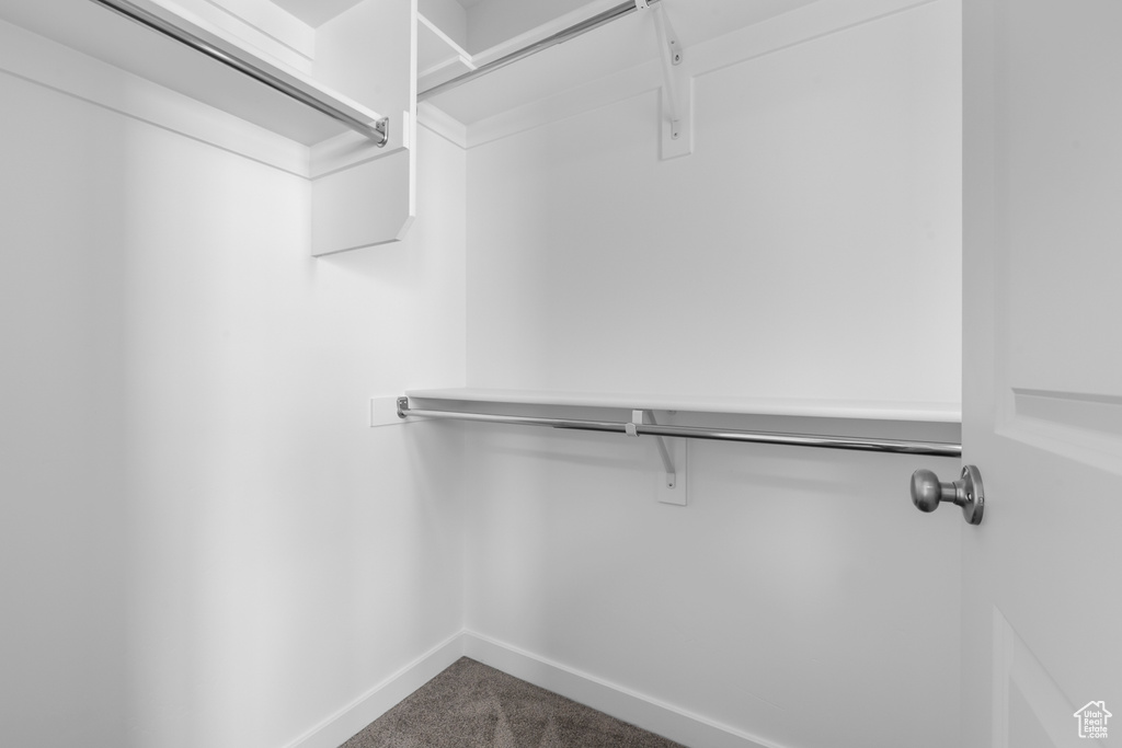 Walk in closet featuring carpet floors