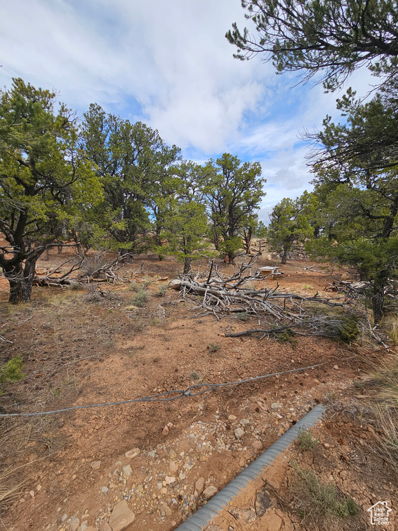 View of landscape