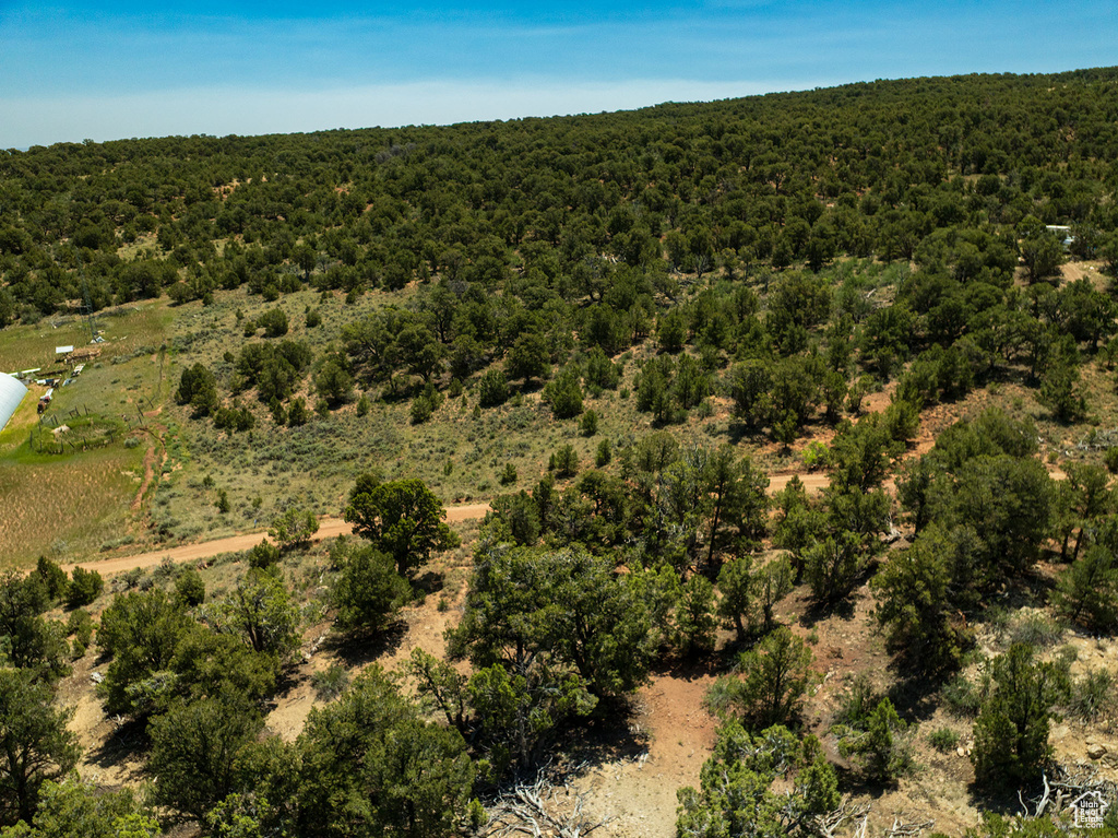Aerial view of property and surrounding area with a forest