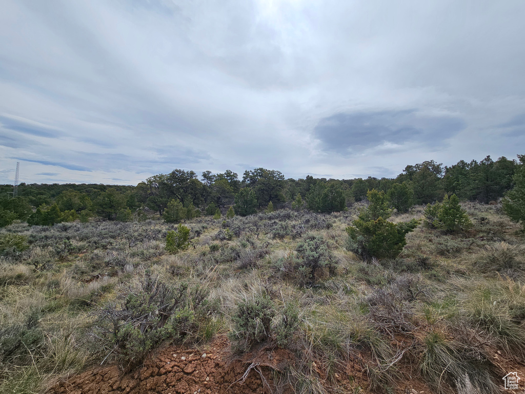 View of nature