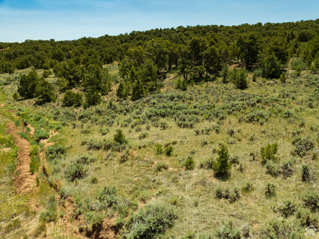 View of wooded area