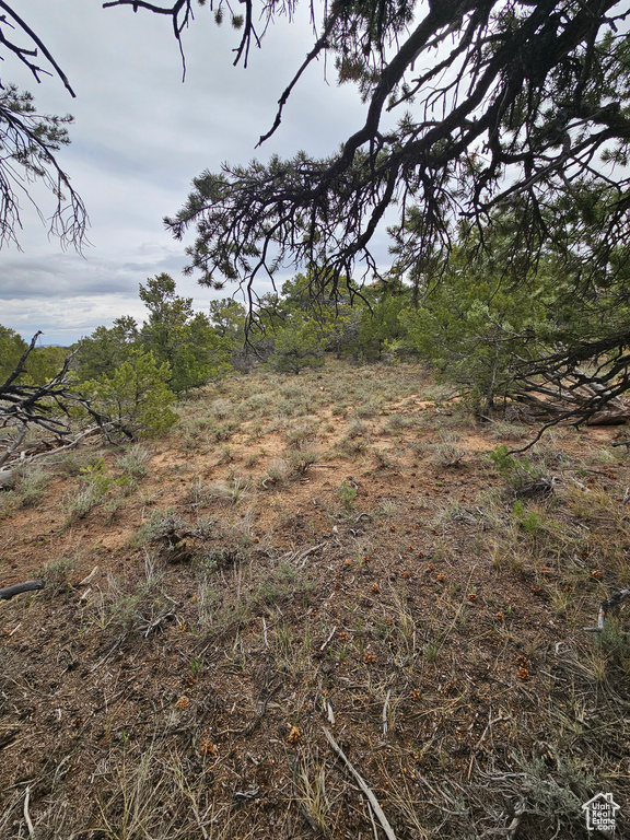 View of landscape
