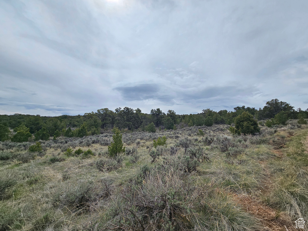 View of landscape