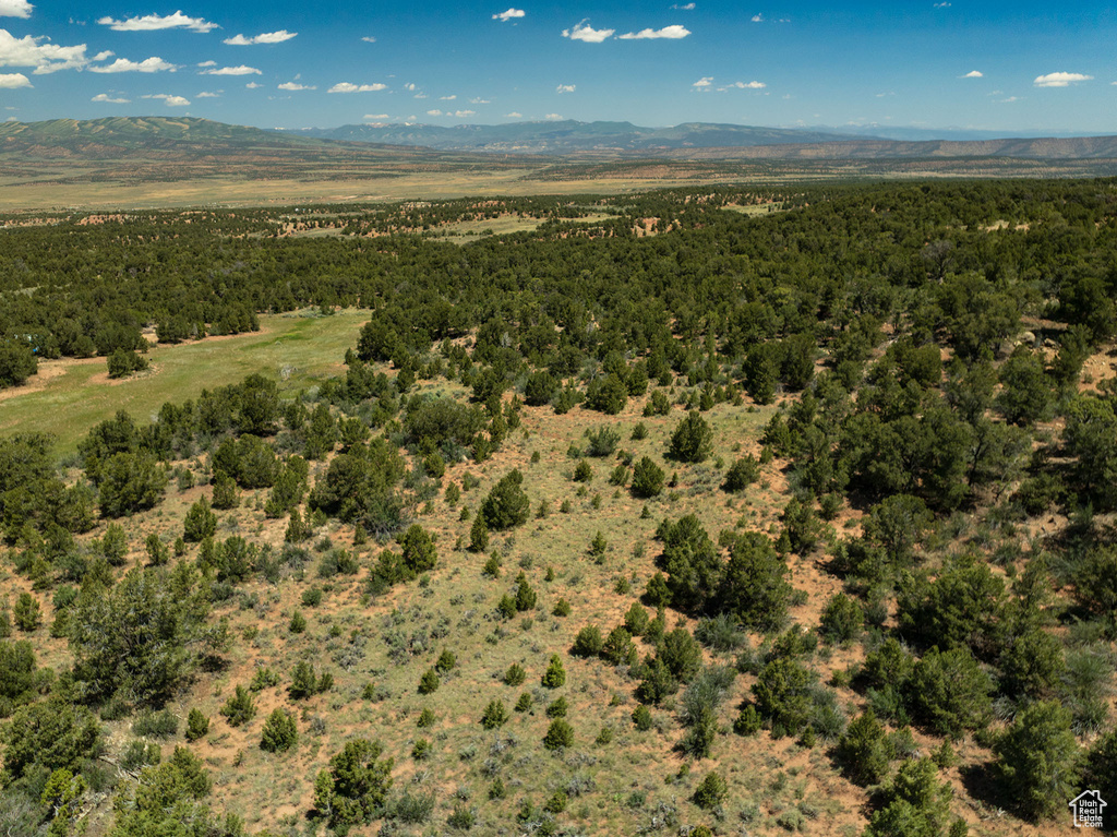 Bird's eye view of a mountain backdrop and a heavily wooded area