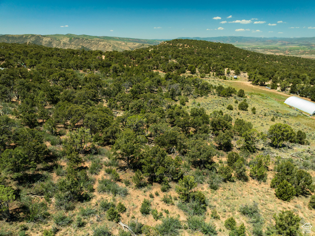 Bird's eye view of a mountainous background