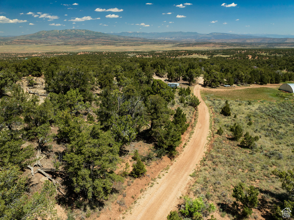 Drone / aerial view of mountains