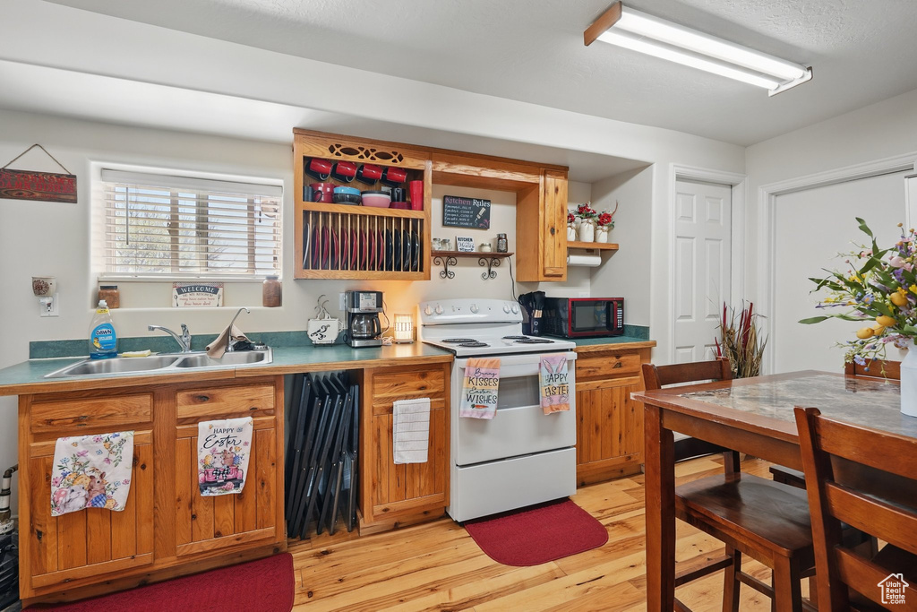 Kitchen with open shelves, white range with electric cooktop, light wood-style floors, brown cabinets, and a sink