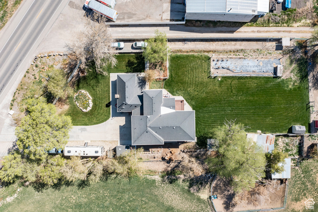 Bird\'s eye view