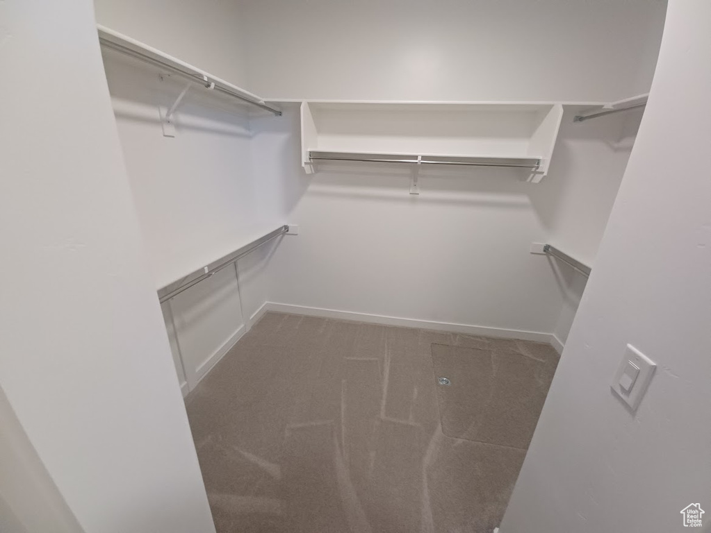 Walk in closet with carpet flooring