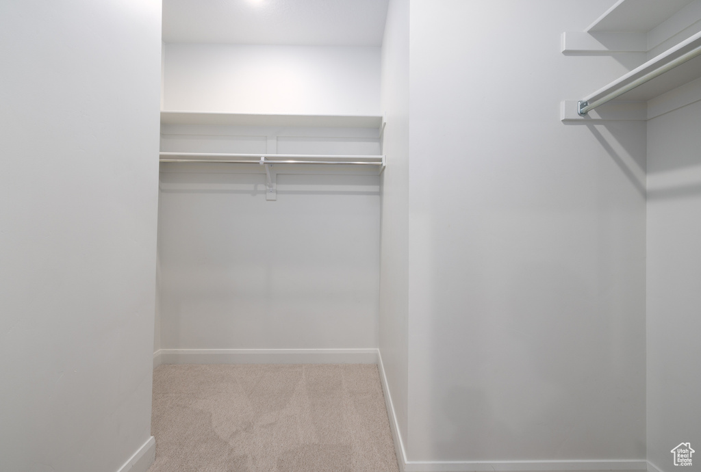 Walk in closet featuring carpet flooring