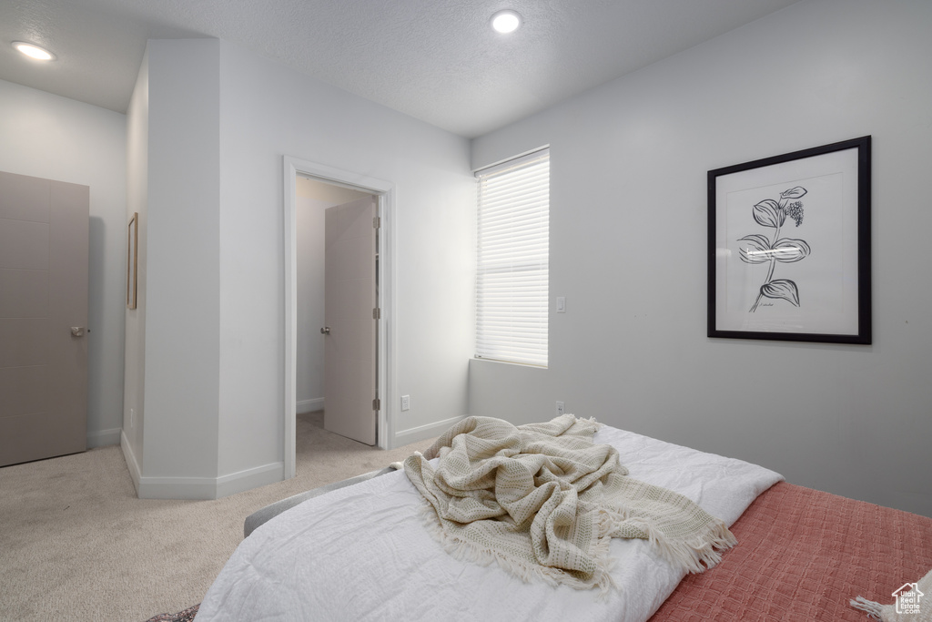 Bedroom with baseboards, recessed lighting, a spacious closet, and light colored carpet