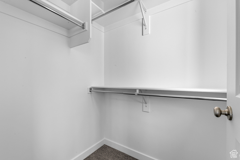 Walk in closet featuring carpet floors