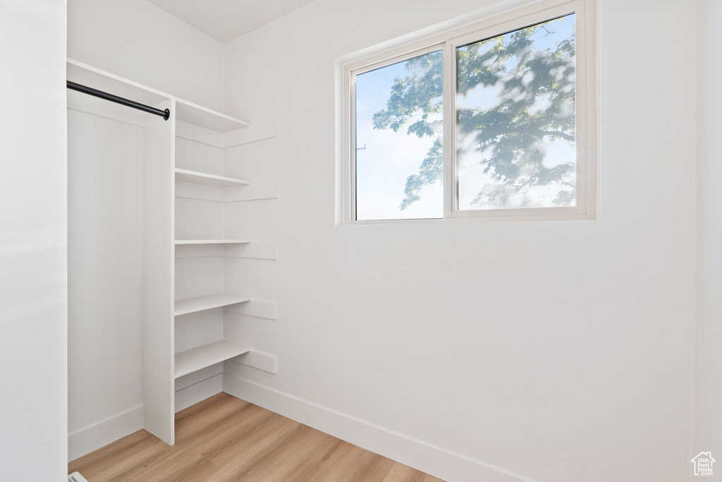 Spacious closet featuring a barn door and light wood-style floors