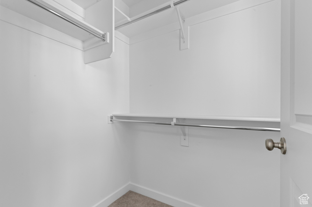 Walk in closet with carpet flooring