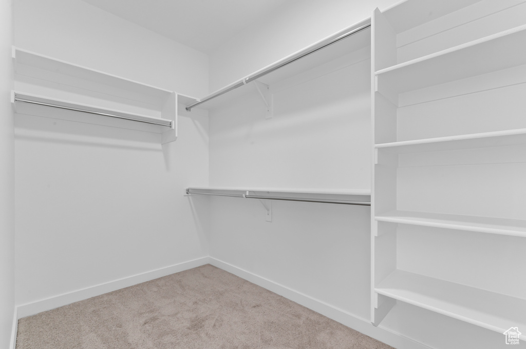 Walk in closet with carpet floors